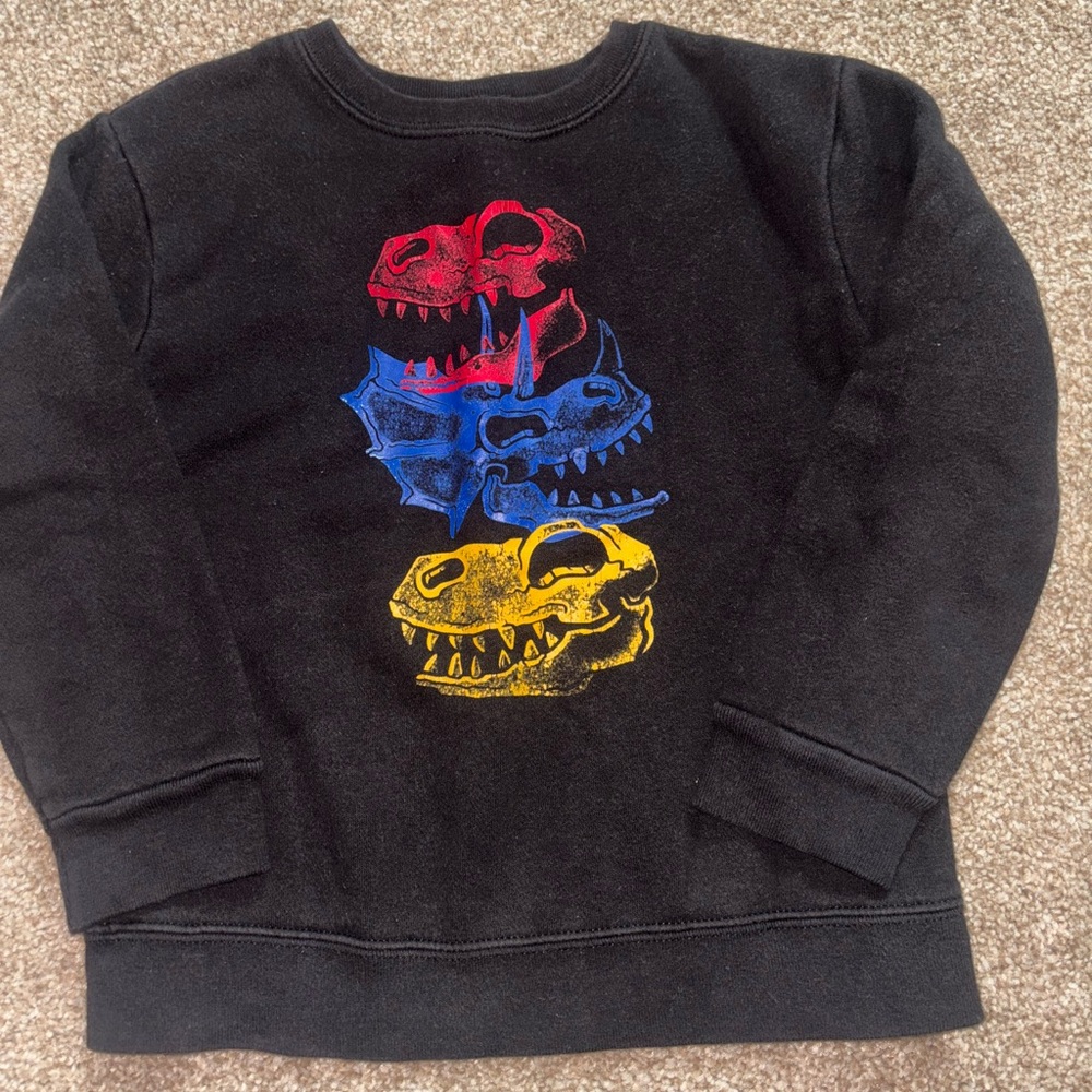 Dino sweatshirt